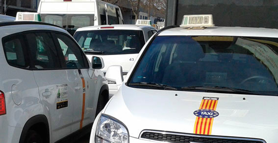 Un detenido en Palma por los destrozos y robos a taxis