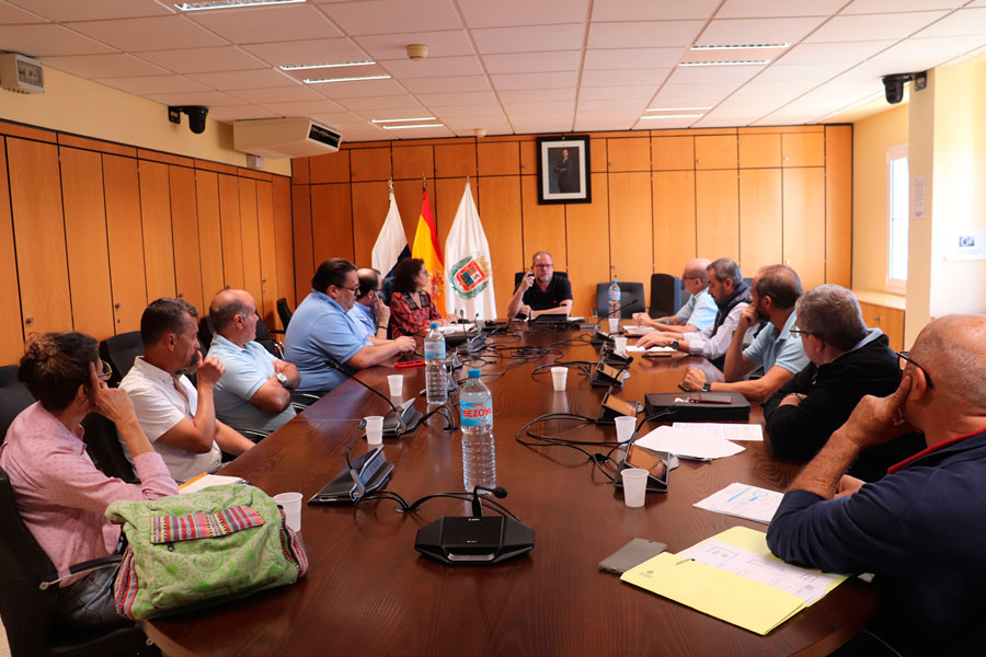 La Mesa del Taxi de Las Palmas ratifica la nueva ordenanza
